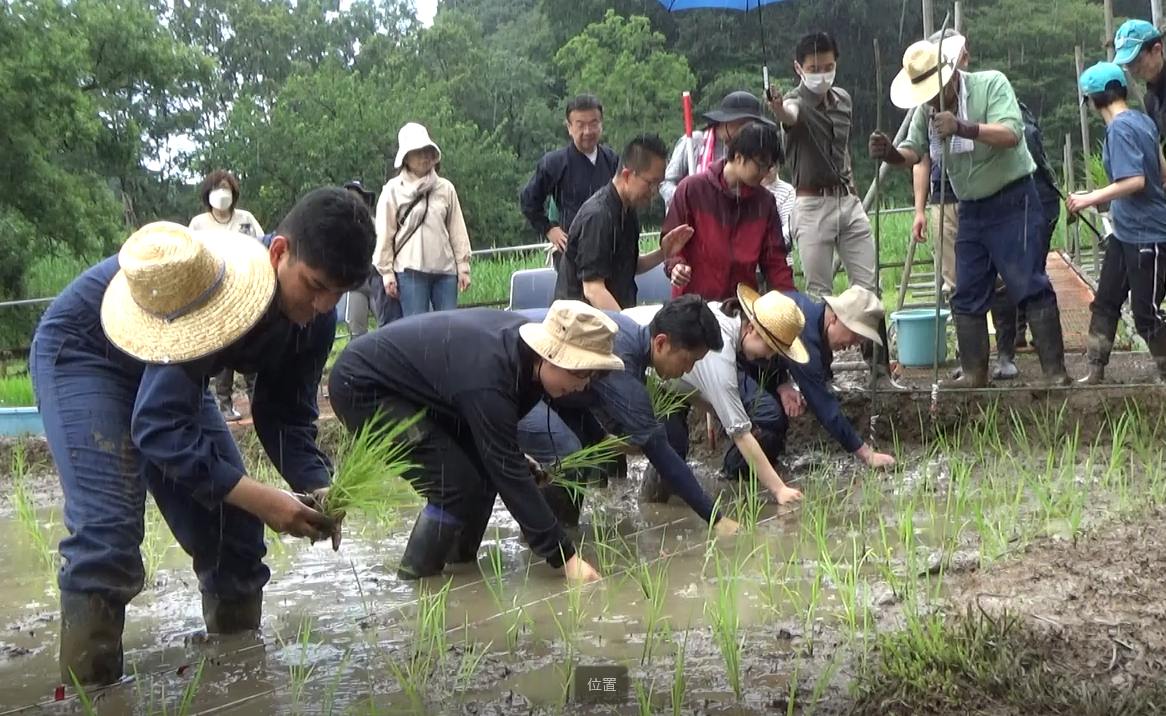 President Rev. Nichiko Niwano participated in the rice planting ceremony at the Gakurin Ome Campus