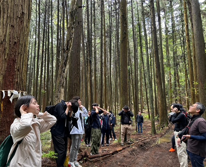 Gakurin Ome Walk