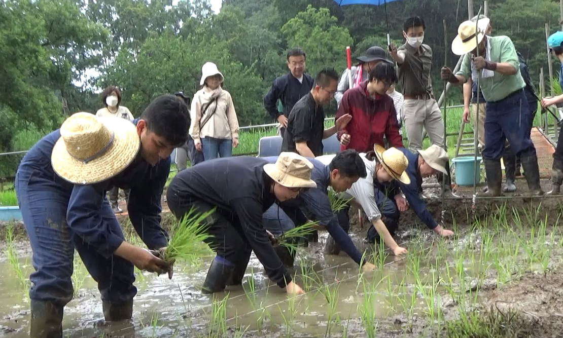 庭野会長が学林青梅キャンパスでお田植えの儀